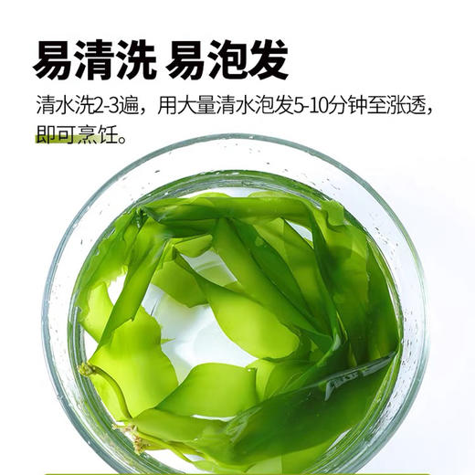 海带嫩苗 预制菜火锅食材盐渍小海带芽商用压缩 商品图2
