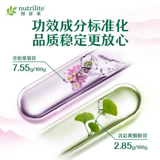 NCL银杏叶苁蓉片[每片都有松果菊苷和总黄酮醇苷] 商品图2