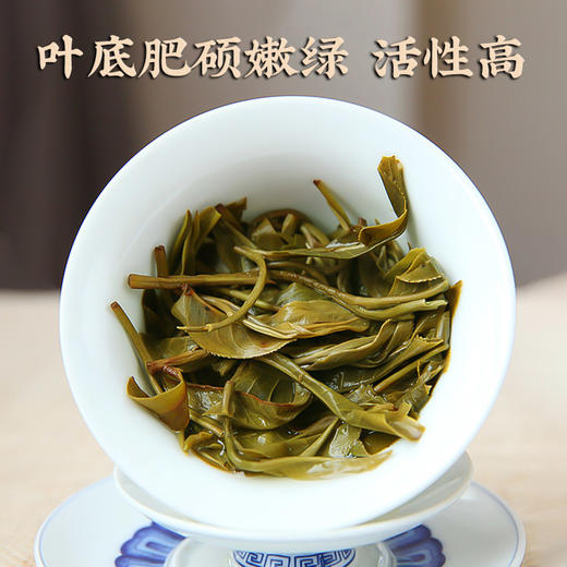 【2024春茶】困鹿山核心产区古树醇料散茶头春茶 商品图7