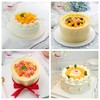 芒果蛋糕 | Mango Cake 商品缩略图0