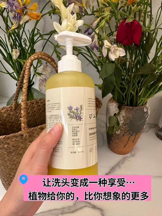 【精油洗发水】蓬松清爽，二合一精油洗发水，无需护发素，细软扁塌发质救星 迷迭香姜艾植萃精油洗发露 采用多种植物萃取 无硅油，无合成香精,去屑去油，柔顺护发 500m 商品图3
