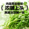 国货推荐 白象香菜面泡面香菜方便面速食超香香菜味袋装泡面115g/袋 商品缩略图5