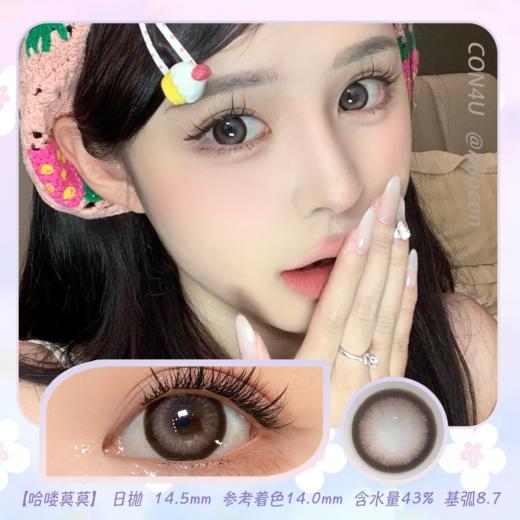 Con4u 哈喽莫莫 14.5mm【日抛10片/盒】 商品图0