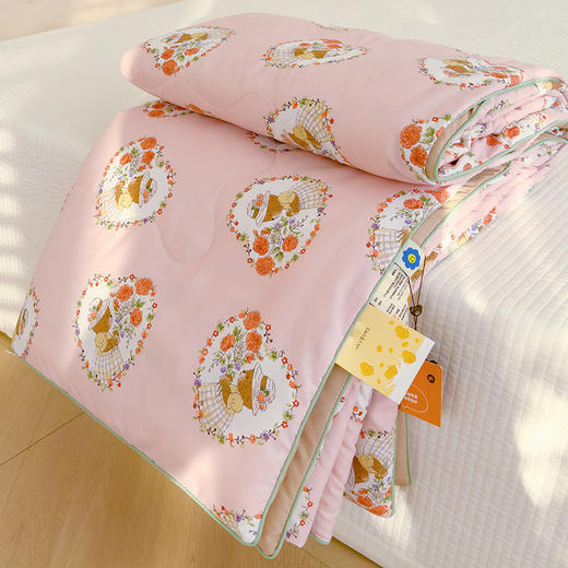 A类母婴级【夏凉被 双层纱空调被】可水洗机洗夏被 夏季儿童薄被子 商品图2
