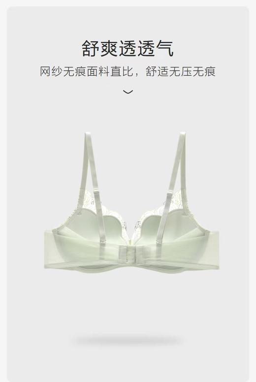 5F 安莉芳繁花系列性感蕾丝无钢圈小胸聚拢文胸 商品图3