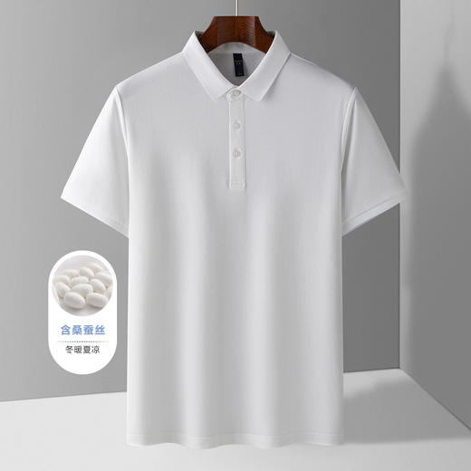 【含桑蚕丝】罗蒙夏季休闲男士t恤短袖polo衫商务polo衫男短袖 商品图1