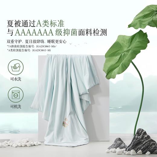 水星集团 百丽丝家纺苏州博物馆联名款古韵清荷抗菌蚕丝夏被 礼盒装 商品图2