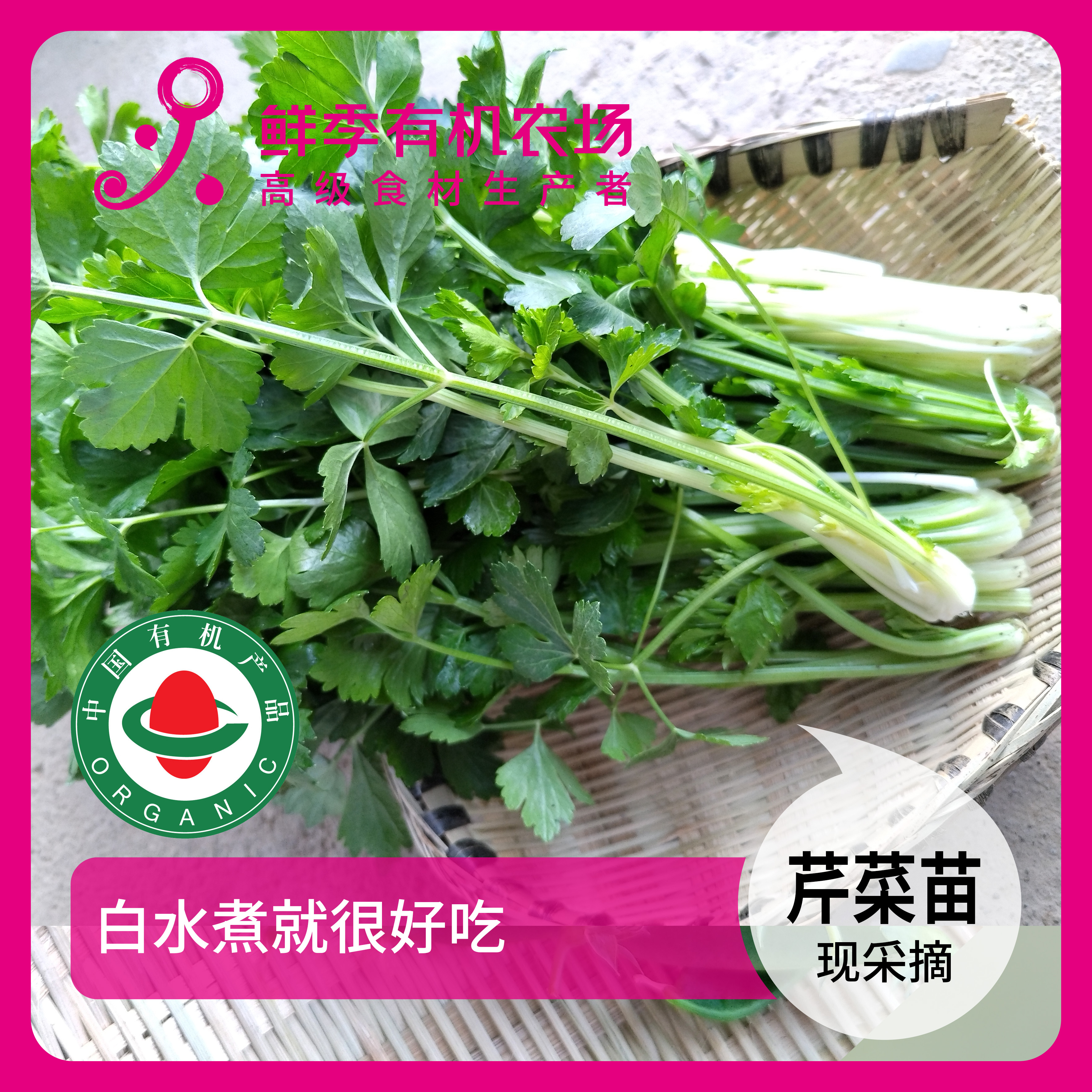芹菜苗 300g