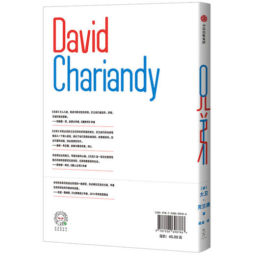 【特价】兄弟 一曲写给逝去兄长的挽歌 一部移民家庭的史诗（加）大卫·克兰迪 著 商品图1