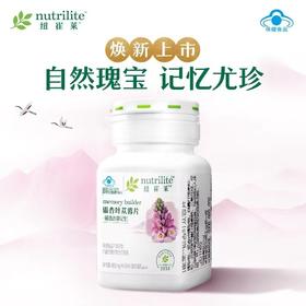 NCL银杏叶苁蓉片[每片都有松果菊苷和总黄酮醇苷]