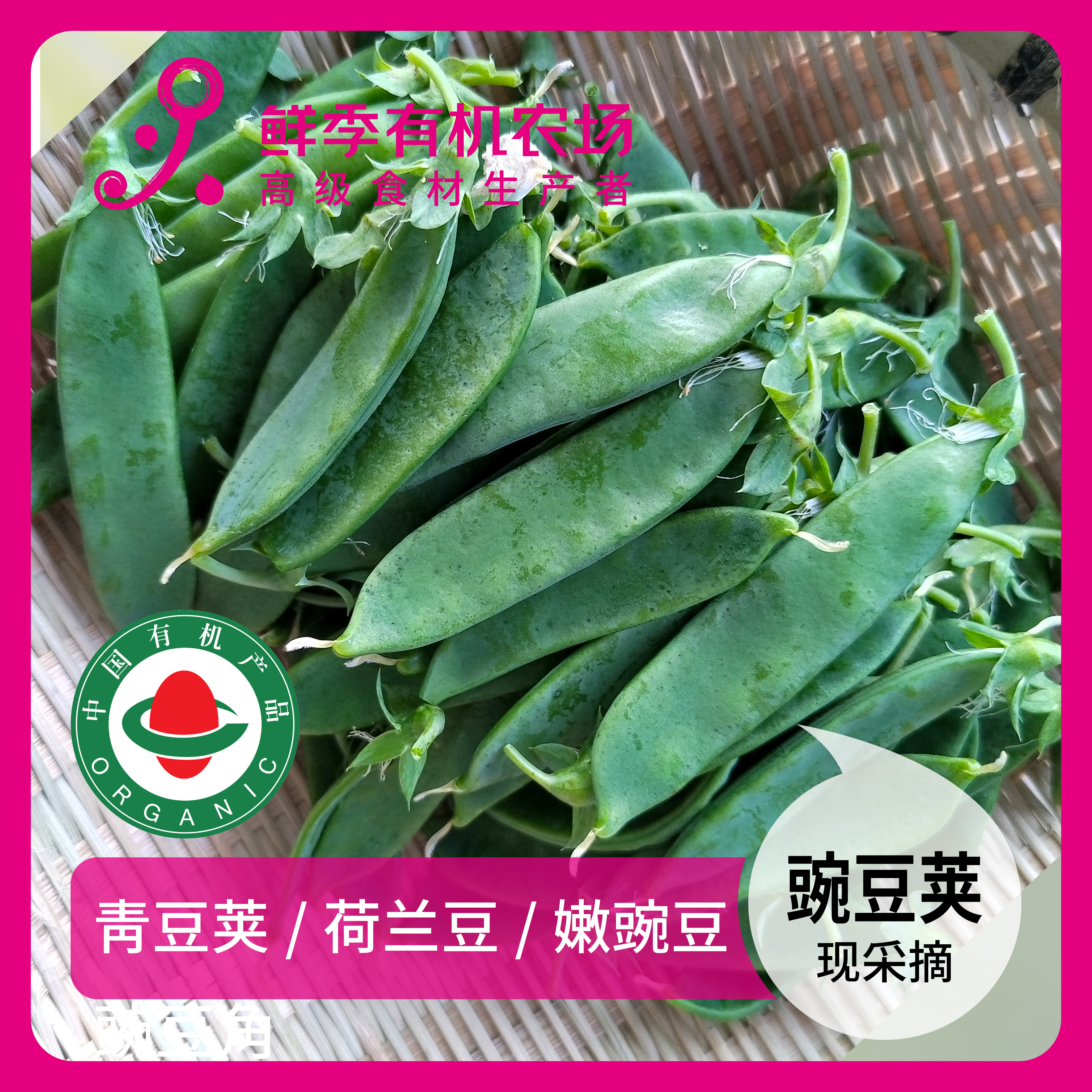 年卡-豌豆荚300g