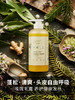 【精油洗发水】蓬松清爽，二合一精油洗发水，无需护发素，细软扁塌发质救星 迷迭香姜艾植萃精油洗发露 采用多种植物萃取 无硅油，无合成香精,去屑去油，柔顺护发 500m 商品缩略图2