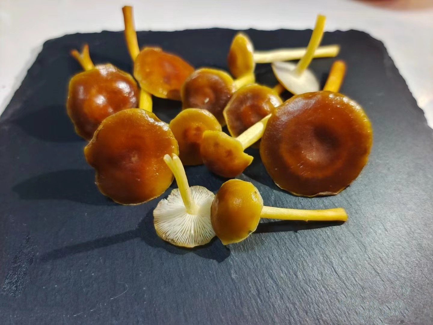 山茶茸 珍稀菌菇 鲜