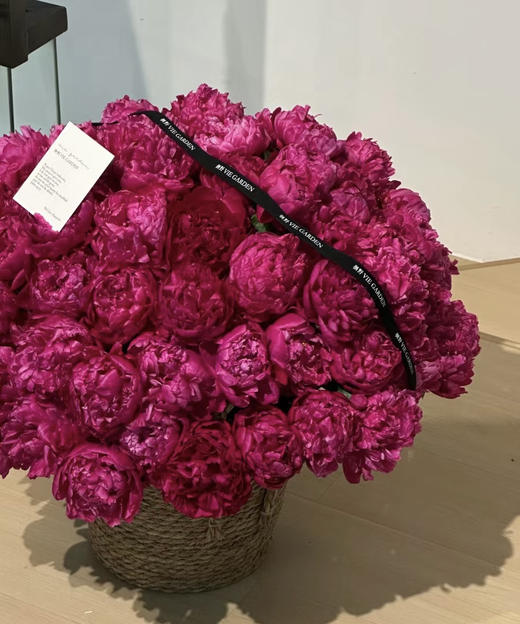 【红艳奔放】芍药-莎拉  红色 5枝/扎 商品图7