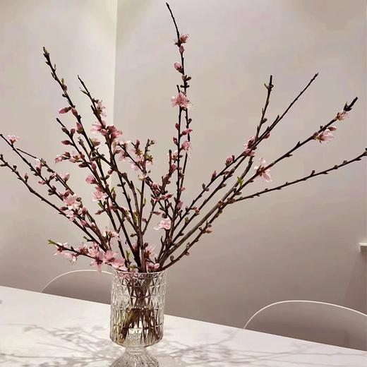 精品花卉桃花一扎 商品图2