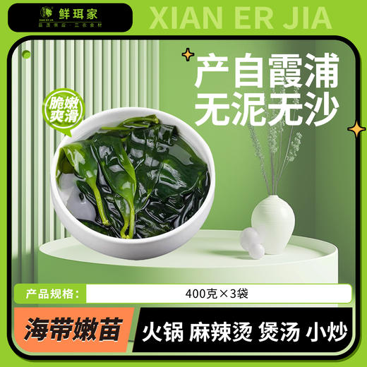 海带嫩苗 预制菜火锅食材盐渍小海带芽商用压缩 商品图0