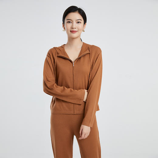 DWCC4215AN 山羊绒 东黎羊绒 女士精仿针织休闲时尚纯色连帽衫 商品图8