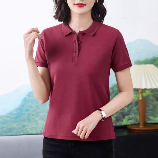40支纯色翻领正肩Polo衫2024夏季新款棉短袖T恤修身套头上衣 商品图3
