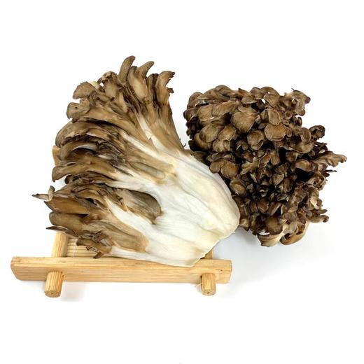 新鲜灰树花舞茸 商品图0