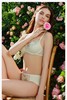 5F 安莉芳繁花系列性感蕾丝无钢圈小胸聚拢文胸 商品缩略图1