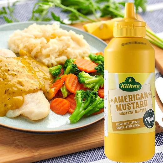 【中欧班列精选】德国冠芥末酱 原装进口利挤压式美式炸鸡汉堡三明治热狗涂抹蘸酱 255g /瓶 商品图3