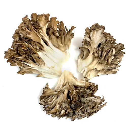 新鲜灰树花舞茸 商品图3