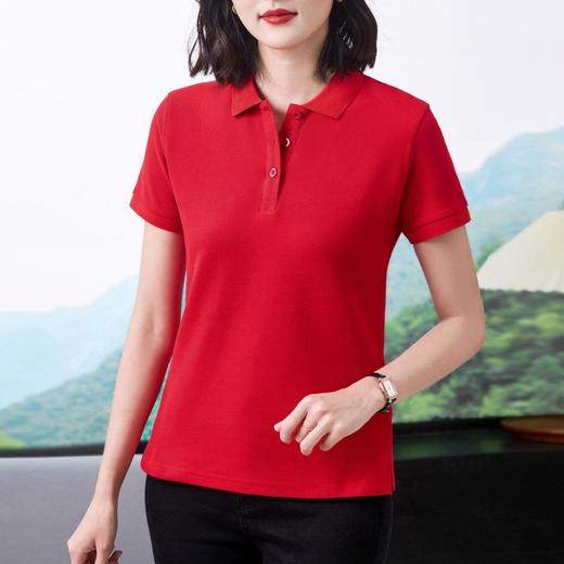40支纯色翻领正肩Polo衫2024夏季新款棉短袖T恤修身套头上衣 商品图2