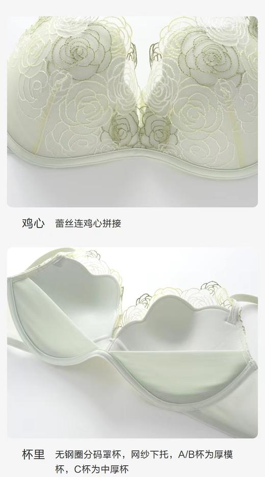 5F 安莉芳繁花系列性感蕾丝无钢圈小胸聚拢文胸 商品图7