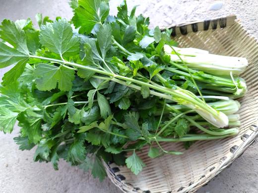 年卡-芹菜苗300g 商品图2