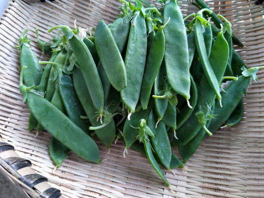 豌豆荚300g 商品图2