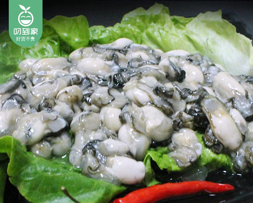 漳浦六鳌朱蛎海蛎肉（约500g/罐） 商品图1