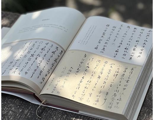 签名本！！《过时的游戏：竹庵诗文与题跋》，蒙中著，签名本，小16开，精装，约450页，三联书店2024年4月一版一印。售价189元。 商品图9