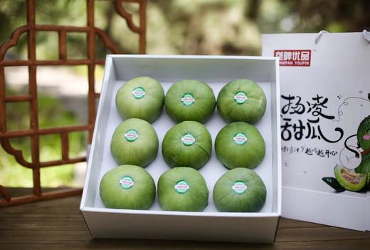 垄畔优品绿宝甜瓜 商品图2