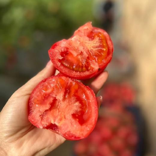 【顺丰快递】陕西泾阳沙瓤普罗旺斯西红柿3-4.5斤（新农家番茄自然熟）小时候的味道 商品图4