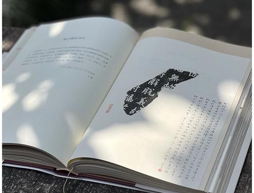 签名本！！《过时的游戏：竹庵诗文与题跋》，蒙中著，签名本，小16开，精装，约450页，三联书店2024年4月一版一印。售价189元。 商品图4