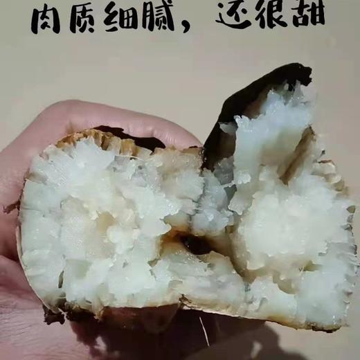 高山蜜薯 1份/约2300g 商品图6