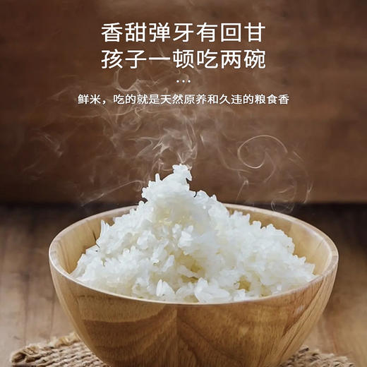 森稻福大米5kg 石板米 【第二件半价】 商品图3