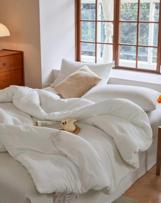 三代山茶花春秋被 超柔亲肤绵 商品图6