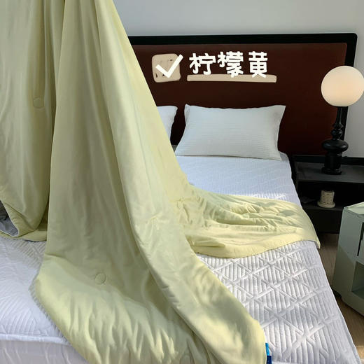 【冰淇淋🍦冰感夏被】黑科技冰激凌凉感丝夏凉被空调被双面双用冰柔丝凉感被 商品图10