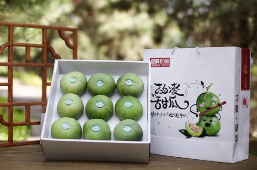 垄畔优品绿宝甜瓜 商品图3