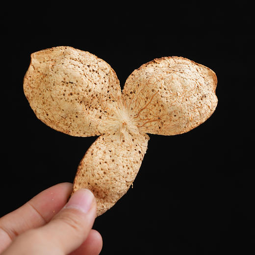 也草陈皮天马一号新会十年老陈皮桔子皮橘皮橙皮泡茶水 商品图3