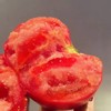 【顺丰快递】陕西泾阳沙瓤普罗旺斯西红柿3-4.5斤（新农家番茄自然熟）小时候的味道 商品缩略图8