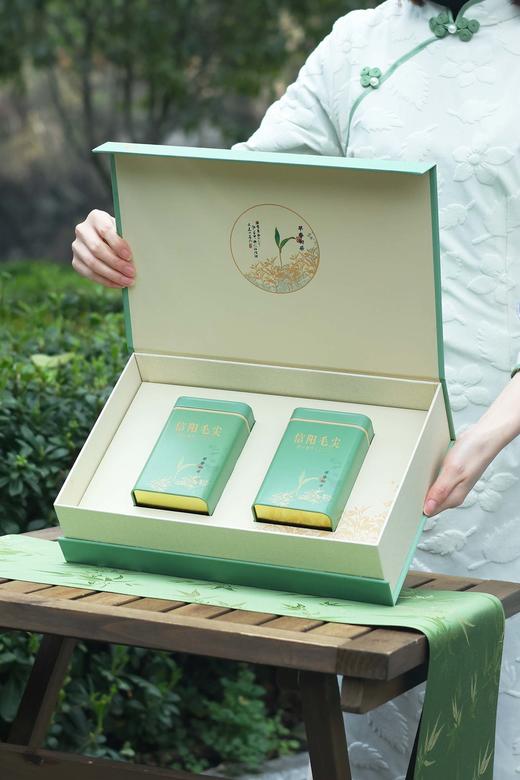 早春初采【浅绿.2听毛尖】17元1套.整箱20套 商品图1