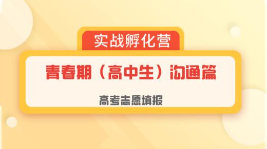 青春期（高中生）沟通篇：01-练好心法-和青少年工作不慌乱 商品图0
