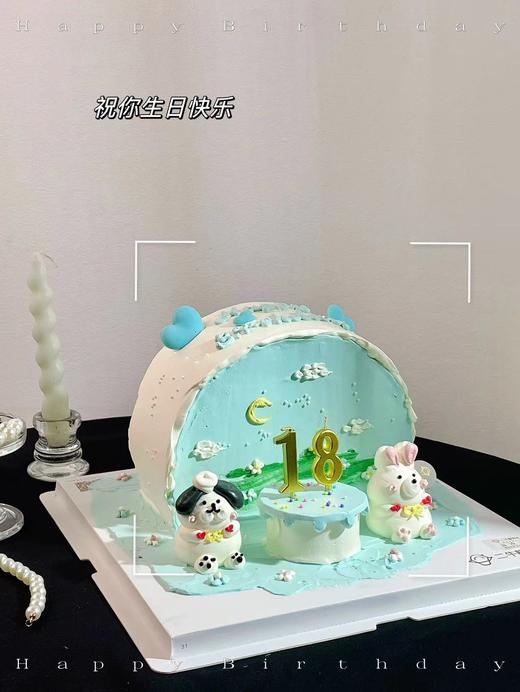 我的18岁 商品图2