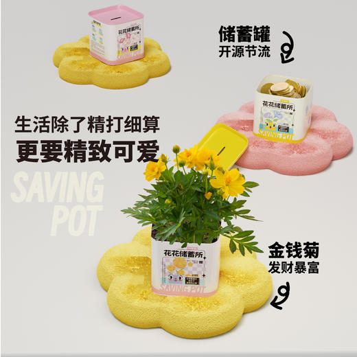 储钱罐盆栽 商品图2