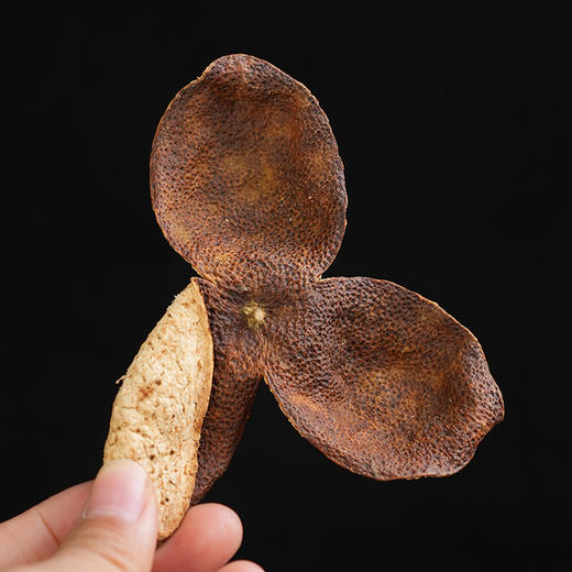 也草陈皮天马一号新会十年老陈皮桔子皮橘皮橙皮泡茶水 商品图2