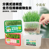 水培芽菜小盆栽 商品缩略图1