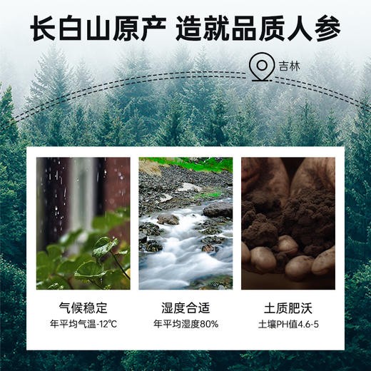 雷允上直营 | 长白山人参片100g/瓶（1.4-1.8cm）参香浓厚 严选足龄老参 商品图1