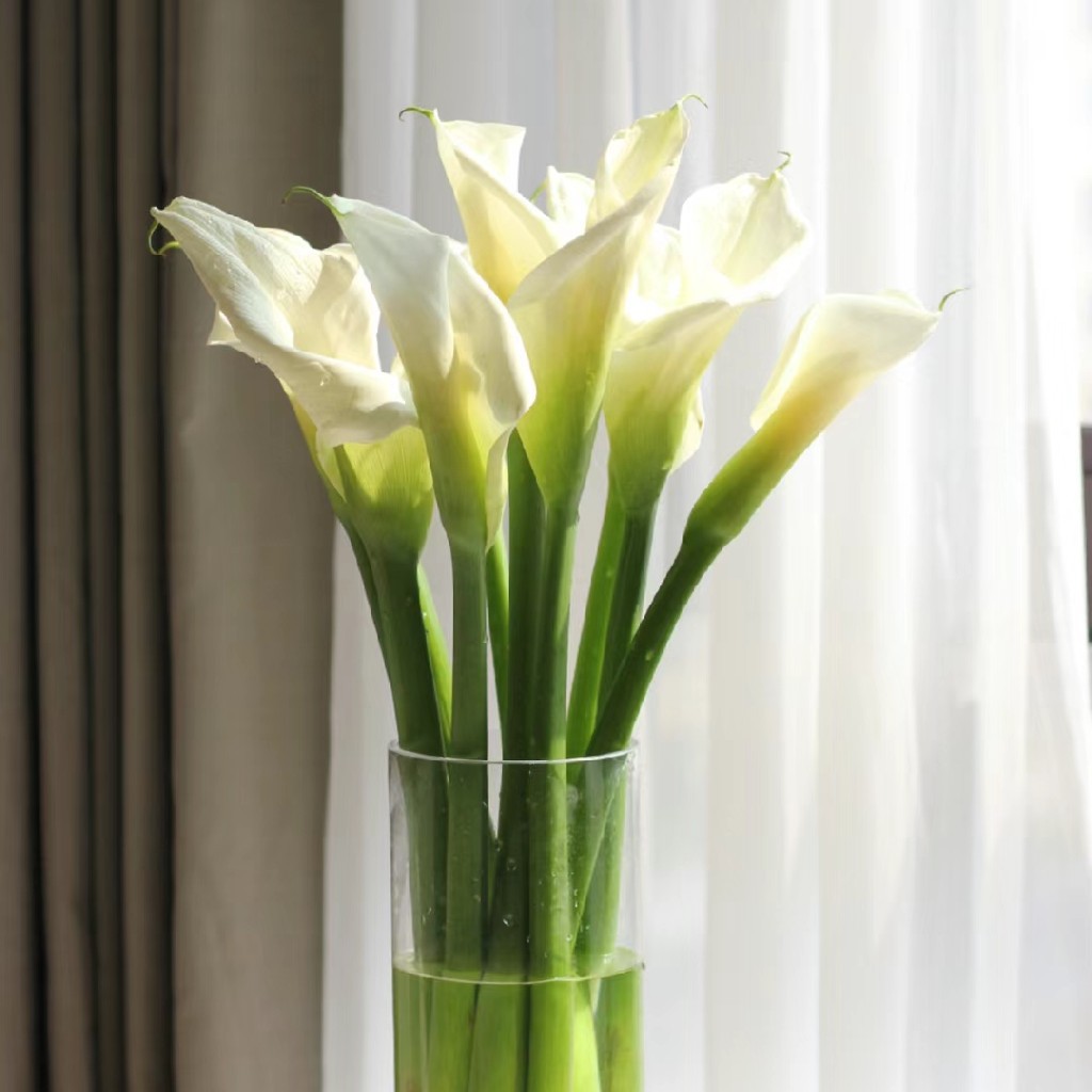 配花-马蹄莲-10支